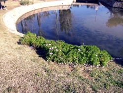 20110205-1
